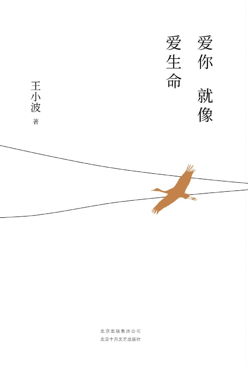 王小波《爱你就像爱生命》精校全本 pdf epub mobi azw3 电子书网盘下载