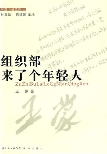 此处描述图片信息